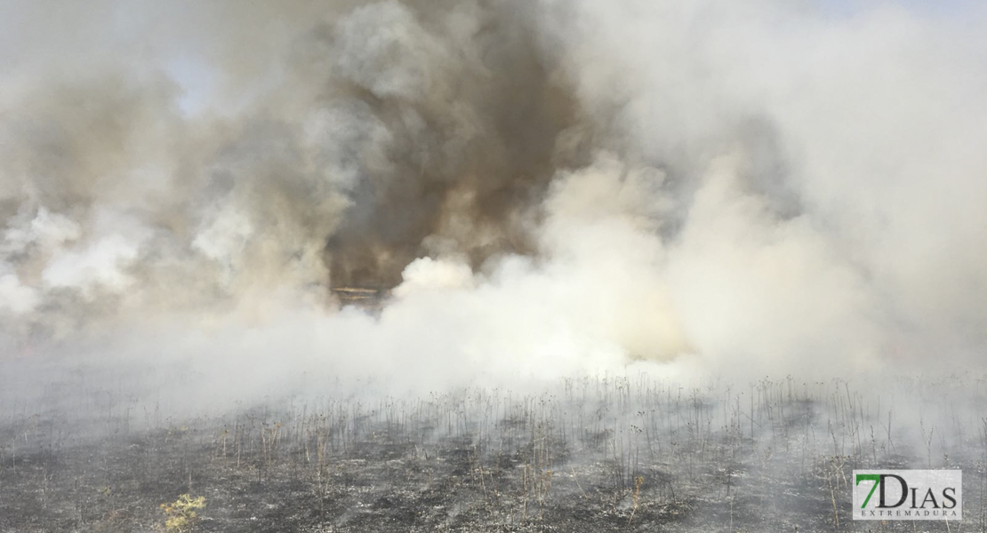 Dos incendios de pasto en Tierra de Barros