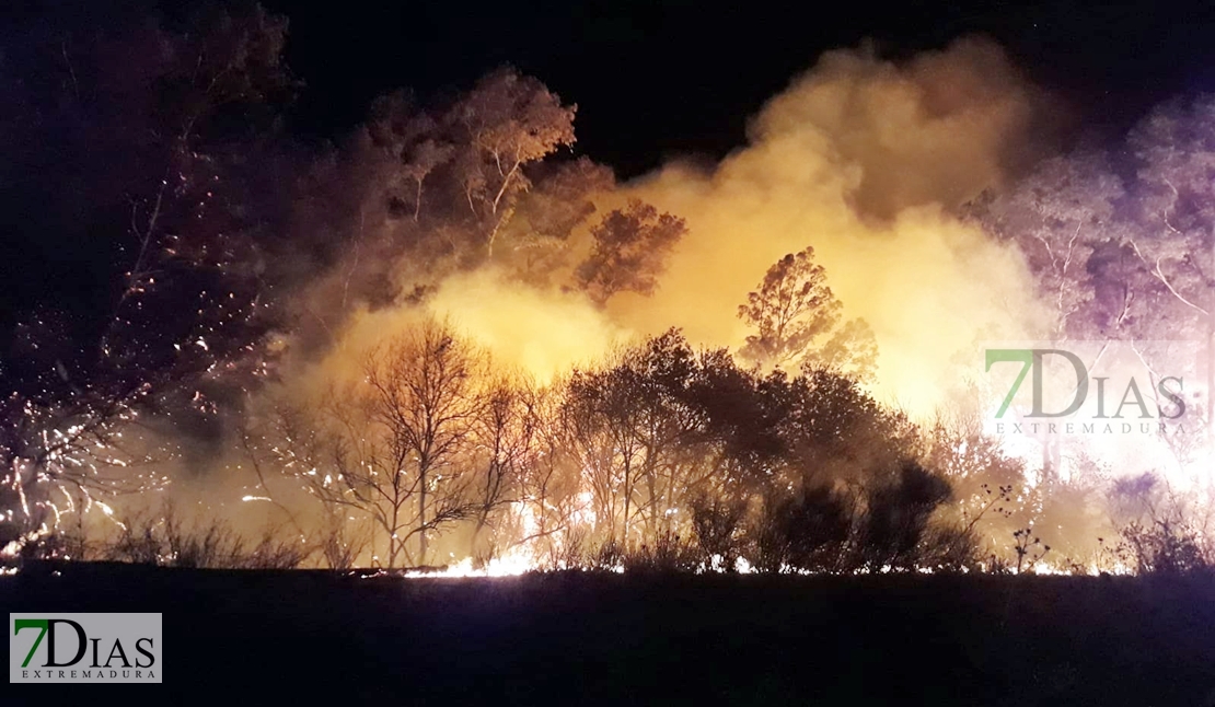 Incendio la pasada noche entre las localidades de Don Álvaro y Alange