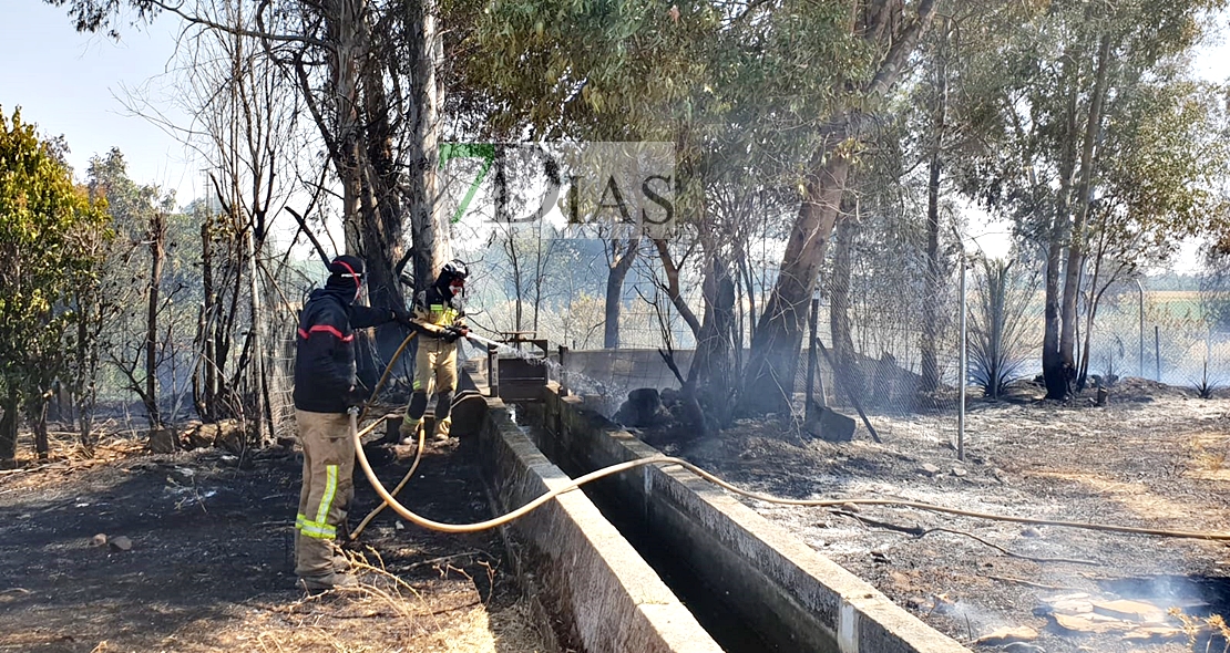 Un incendio afecta a varios chalets de la carretera de Cáceres (Badajoz)