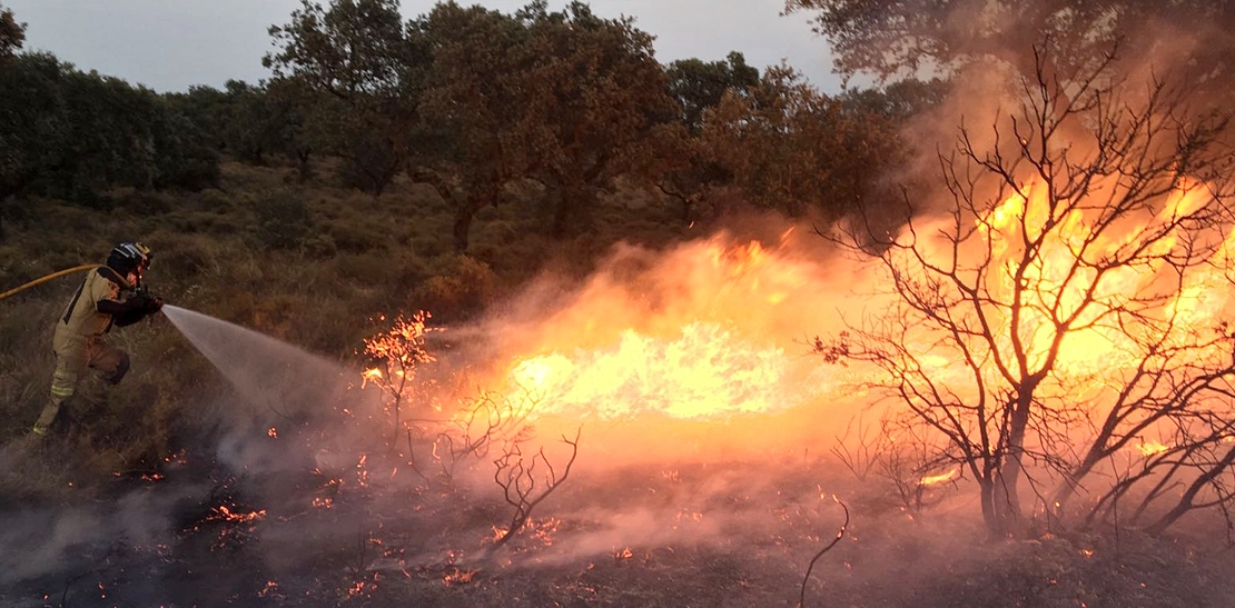 Arde el parque de San Isidro en Badajoz