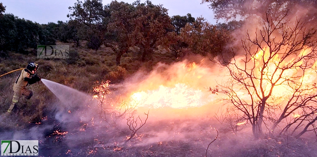 Imágenes del interior del incendio en el parque de San Isidro