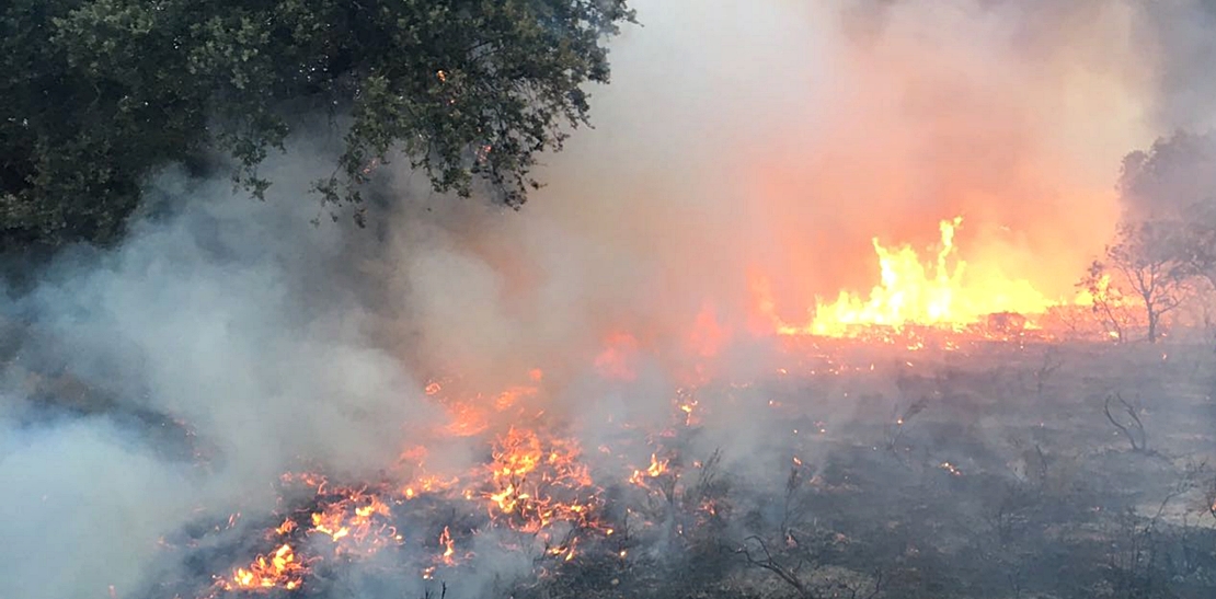 Arde el parque de San Isidro en Badajoz