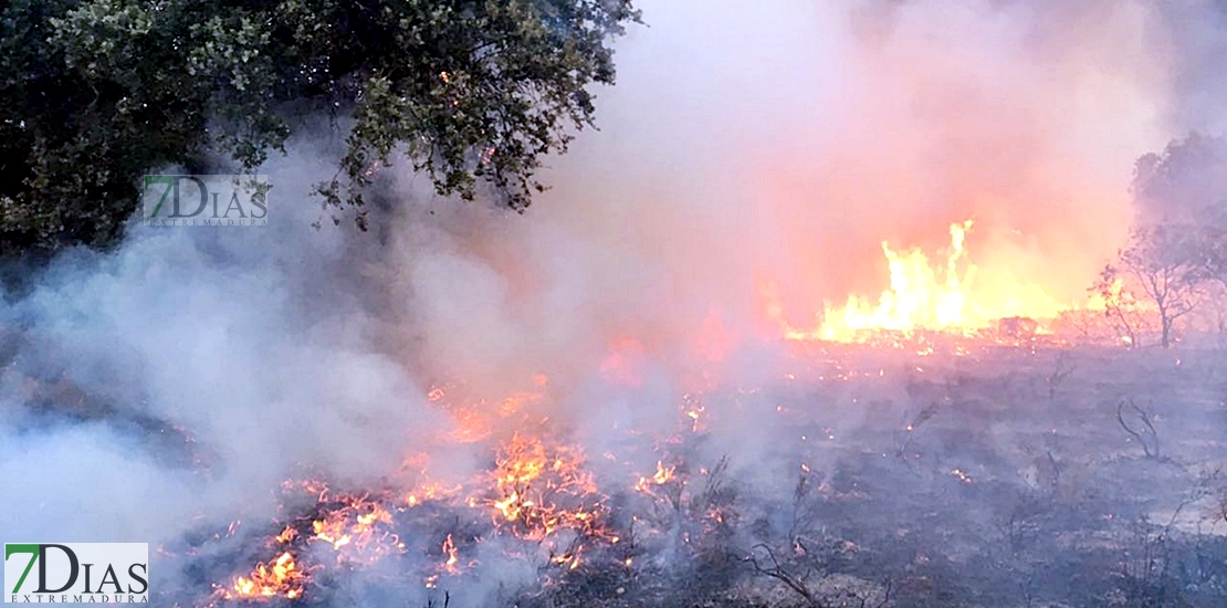 Imágenes del interior del incendio en el parque de San Isidro