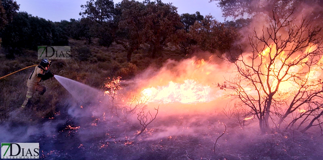 Imágenes del interior del incendio en el parque de San Isidro