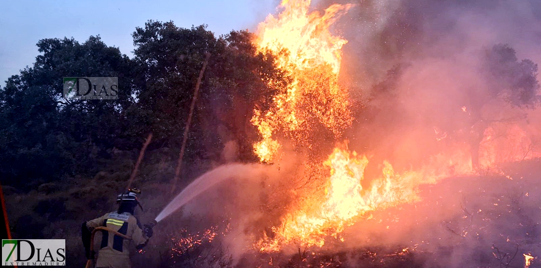 Imágenes del interior del incendio en el parque de San Isidro