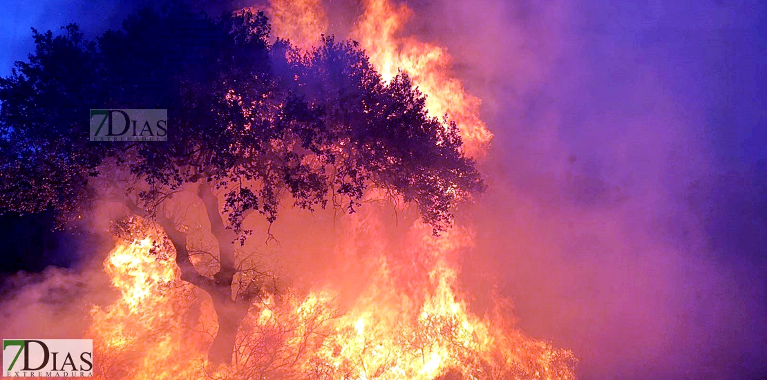 Imágenes del interior del incendio en el parque de San Isidro