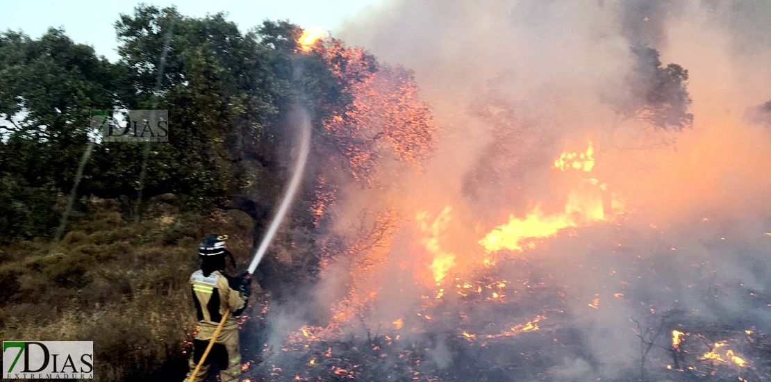 Imágenes del interior del incendio en el parque de San Isidro