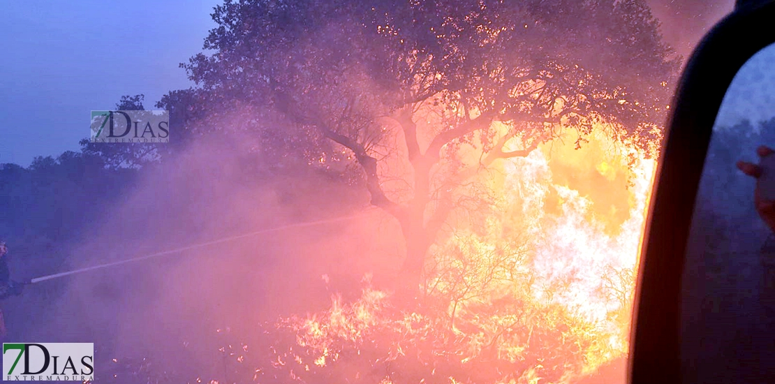 Imágenes del interior del incendio en el parque de San Isidro