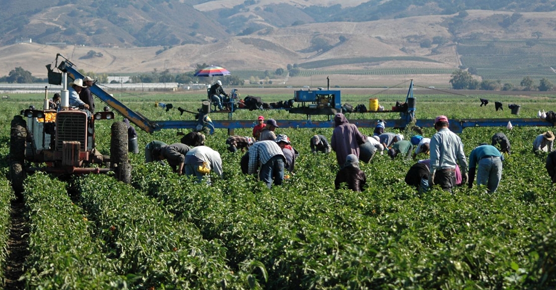 “No es que no haya trabajadores para el campo, es que no quieren ser explotados”