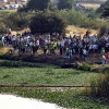 Colectivos, políticos y ciudadanos piden un río Guadiana sin camalote