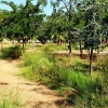 Desidia y abandono en los parques de Badajoz