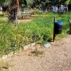 Desidia y abandono en los parques de Badajoz