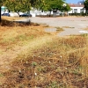 Desidia y abandono en los parques de Badajoz