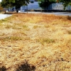 Desidia y abandono en los parques de Badajoz