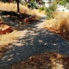 Desidia y abandono en los parques de Badajoz