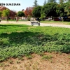 Desidia y abandono en los parques de Badajoz