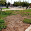 Desidia y abandono en los parques de Badajoz