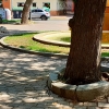 Desidia y abandono en los parques de Badajoz