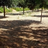 Desidia y abandono en los parques de Badajoz