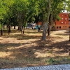 Desidia y abandono en los parques de Badajoz