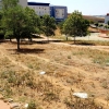 Desidia y abandono en los parques de Badajoz