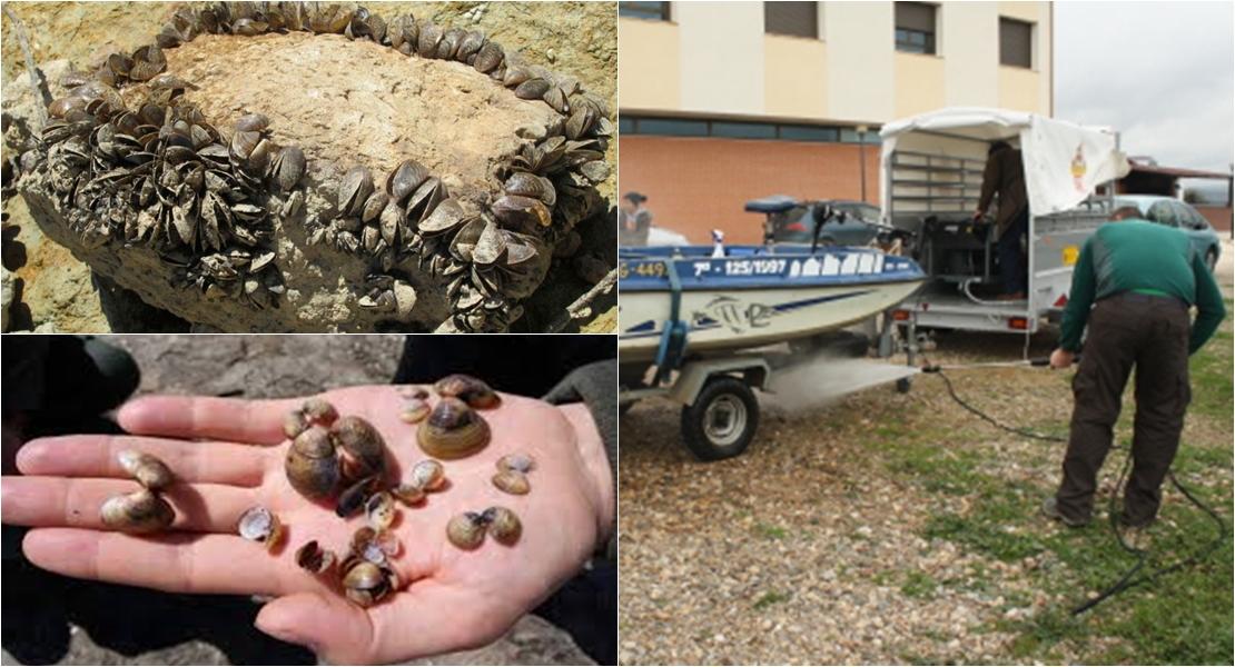 El embalse de Alcántara tendrá una estación de desinfección de barcos para luchar contra el mejillón cebra