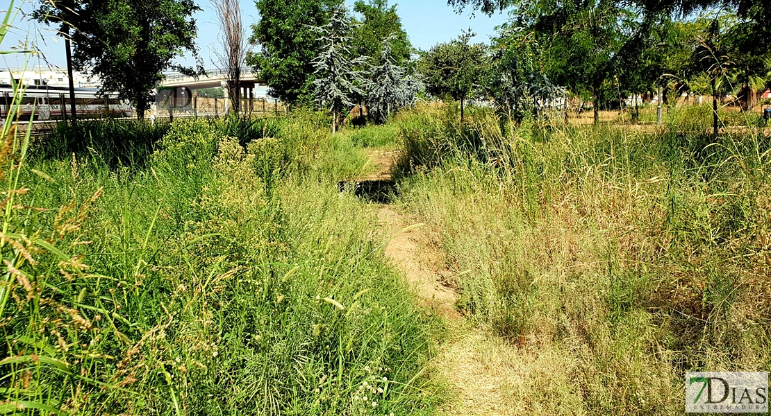 Desidia y abandono en los parques de Badajoz