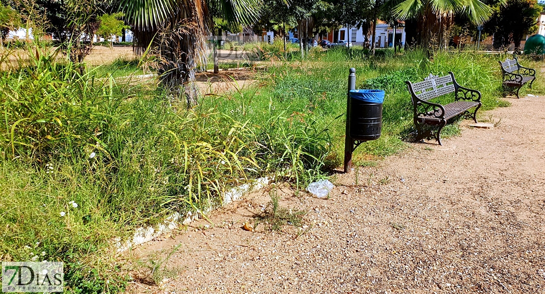 Desidia y abandono en los parques de Badajoz