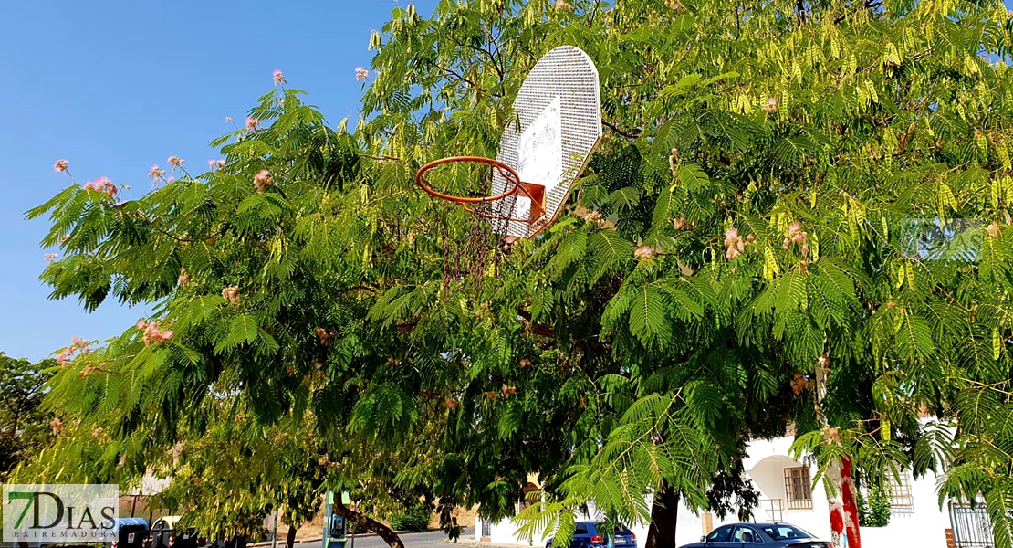 Desidia y abandono en los parques de Badajoz