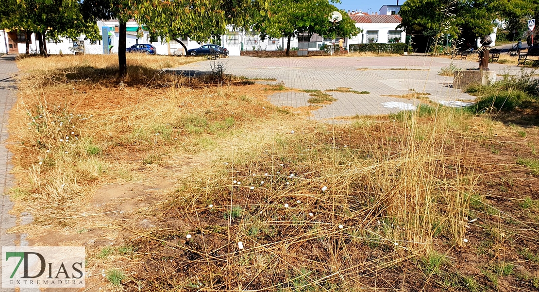 Desidia y abandono en los parques de Badajoz