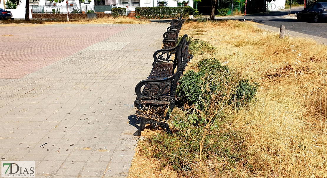 Desidia y abandono en los parques de Badajoz