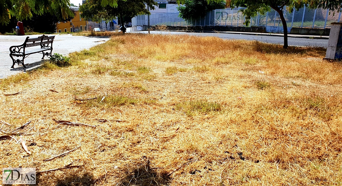 Desidia y abandono en los parques de Badajoz