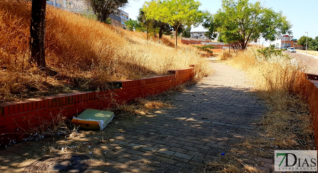 Desidia y abandono en los parques de Badajoz