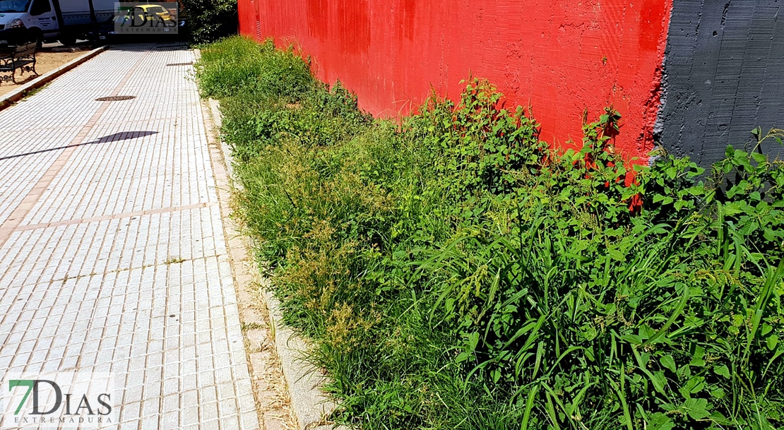 Desidia y abandono en los parques de Badajoz