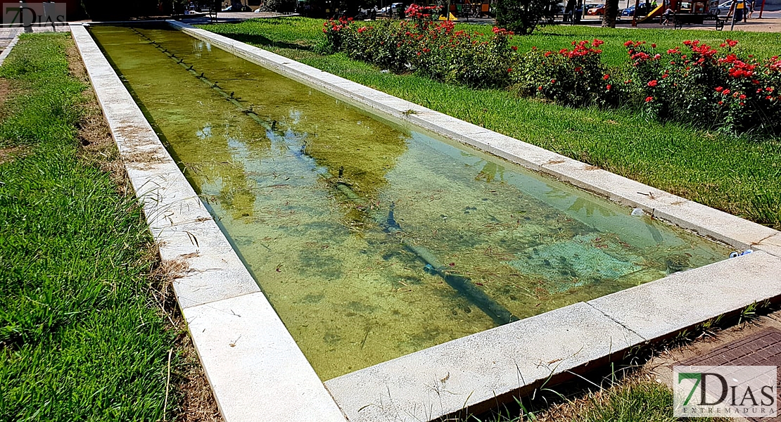 Desidia y abandono en los parques de Badajoz