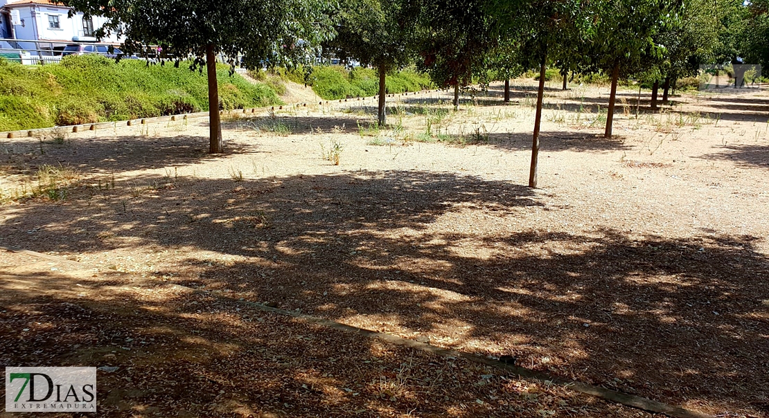 Desidia y abandono en los parques de Badajoz