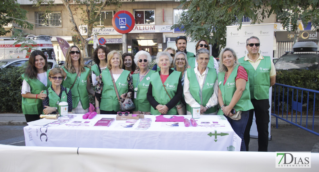 Imágenes del III Cros Solidario Virgen del Pilar I