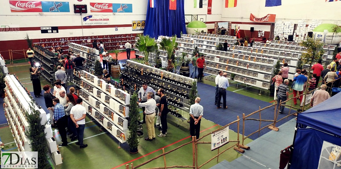 Fotografía y familia presentes en el III Internacional del Oeste