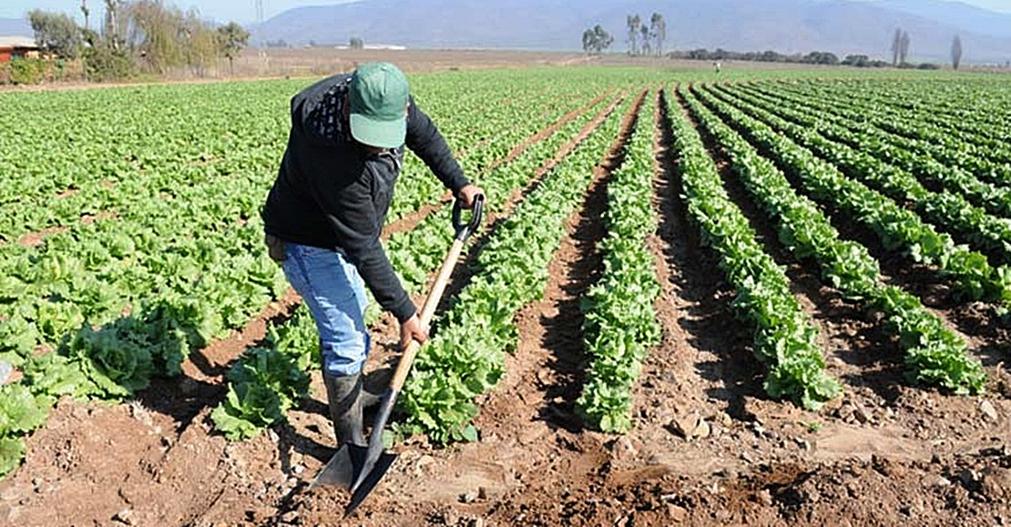 La Unión: &quot;La Junta sube un 50% el impuesto de transmisiones a los agricultores&quot;