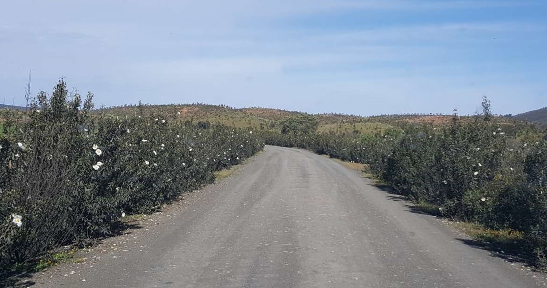 360.000 euros para mejorar caminos rurales