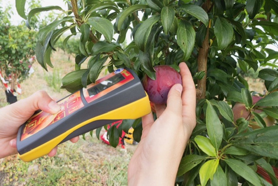 Badajoz acoge una jornada tecnológica para tomarle el pulso a la fruta