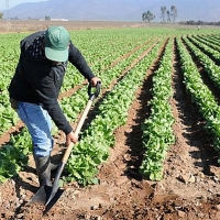 La Unión: &quot;La Junta sube un 50% el impuesto de transmisiones a los agricultores&quot;