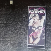 La Policía Local de Badajoz retira la publicidad sexista de una discoteca