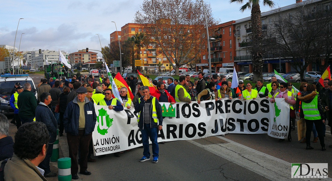 PP: &quot;No se pueden poner bozales a los colectivos para que no molesten a Vara”