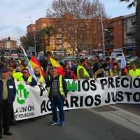 PP: &quot;No se pueden poner bozales a los colectivos para que no molesten a Vara”