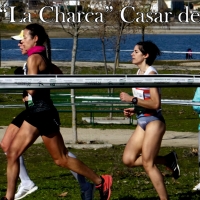 ‘La Charca’ de Casar de Cáceres recibirá a los mejores atletas extremeños