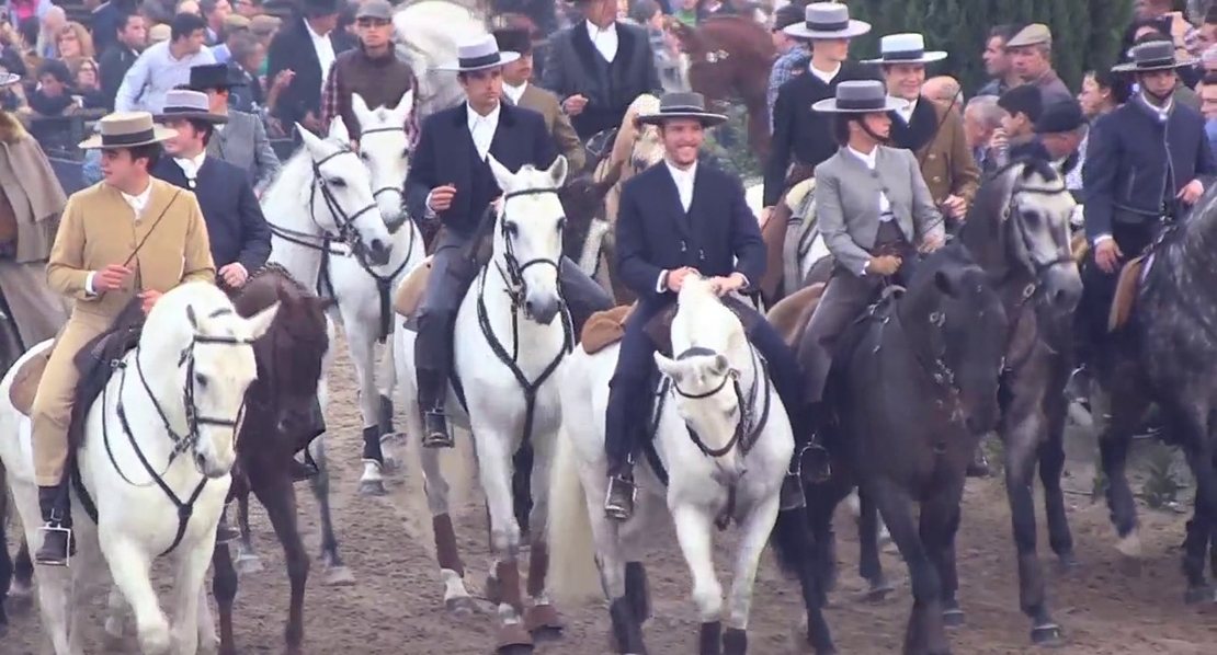 Badajoz y Golegá unen las fuerzas de sus caballos