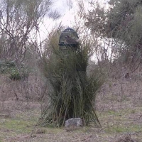 Los mejores cazadores de perdiz con reclamo, en Navalvillar de Pela