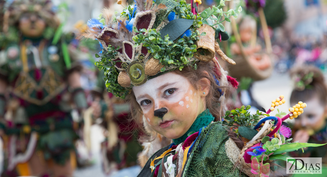 Los mejores primeros planos del gran desfile de comparsas en Badajoz