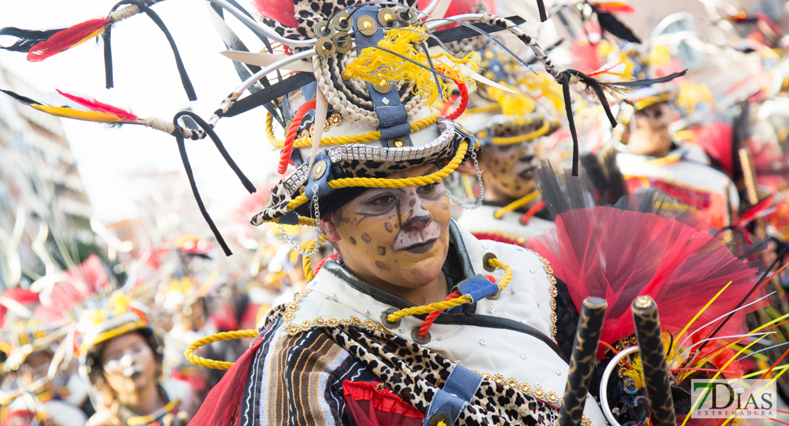 Los mejores primeros planos del gran desfile de comparsas en Badajoz